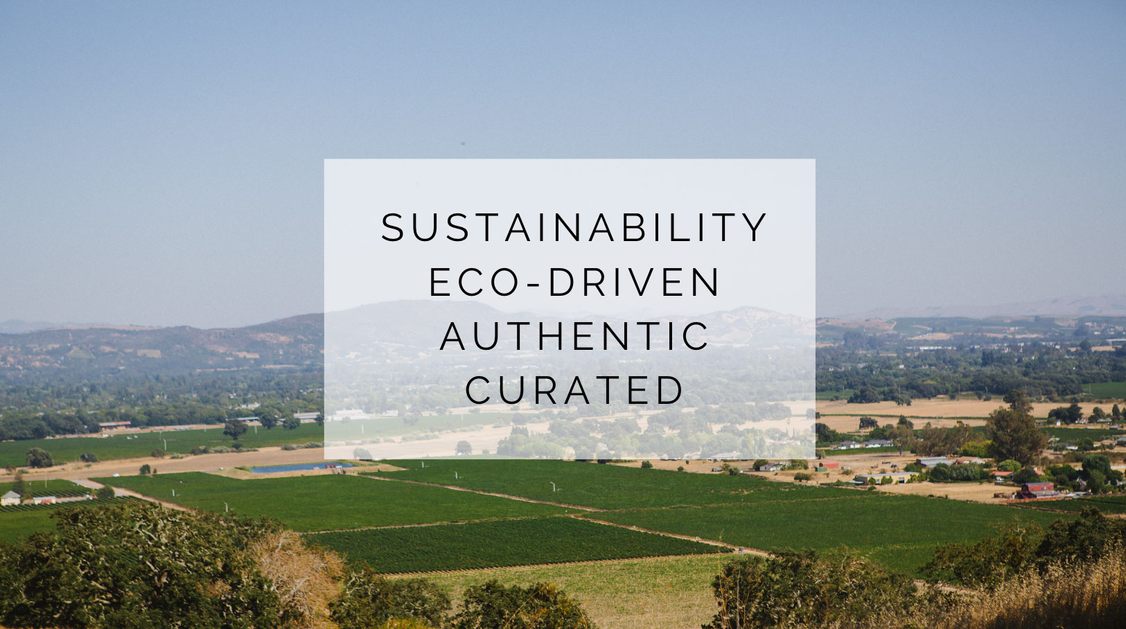 Sustainability, eco-driven, authentic, curated